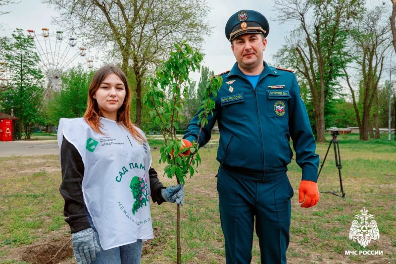 Сотрудники МЧС России по Запорожской области в городском парке высадили молодые деревья в память о коллегах, погибших в период проведения спецоперации