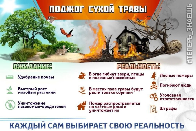 Пал сухой травы уничтожает природу и ее обитателей