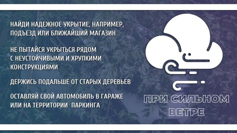 МЧС России по Запорожской области напоминает о правилах безопасности в непогоду