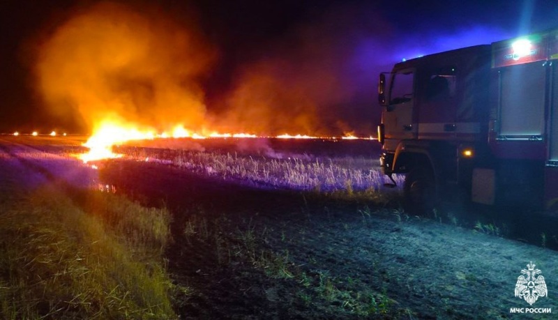 В огне гибнет все живое