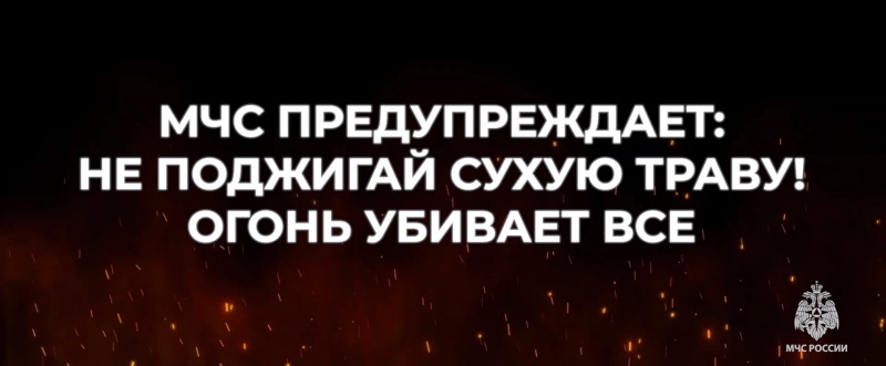 В период действия особого противопожарного режима более 20 нарушителей были привлечены к административной ответственности